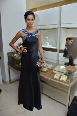 at the diamond boutique GREECE launch by Zoya in Mumbai Store on 30th May 2012 (208).JPG